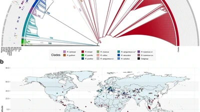The Rhipicephalus sanguineus group: updated list of species, geographical distribution, and vector competence. featured image