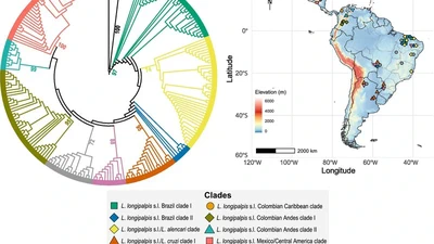 The Lutzomyia longipalpis complex: what's next? featured image